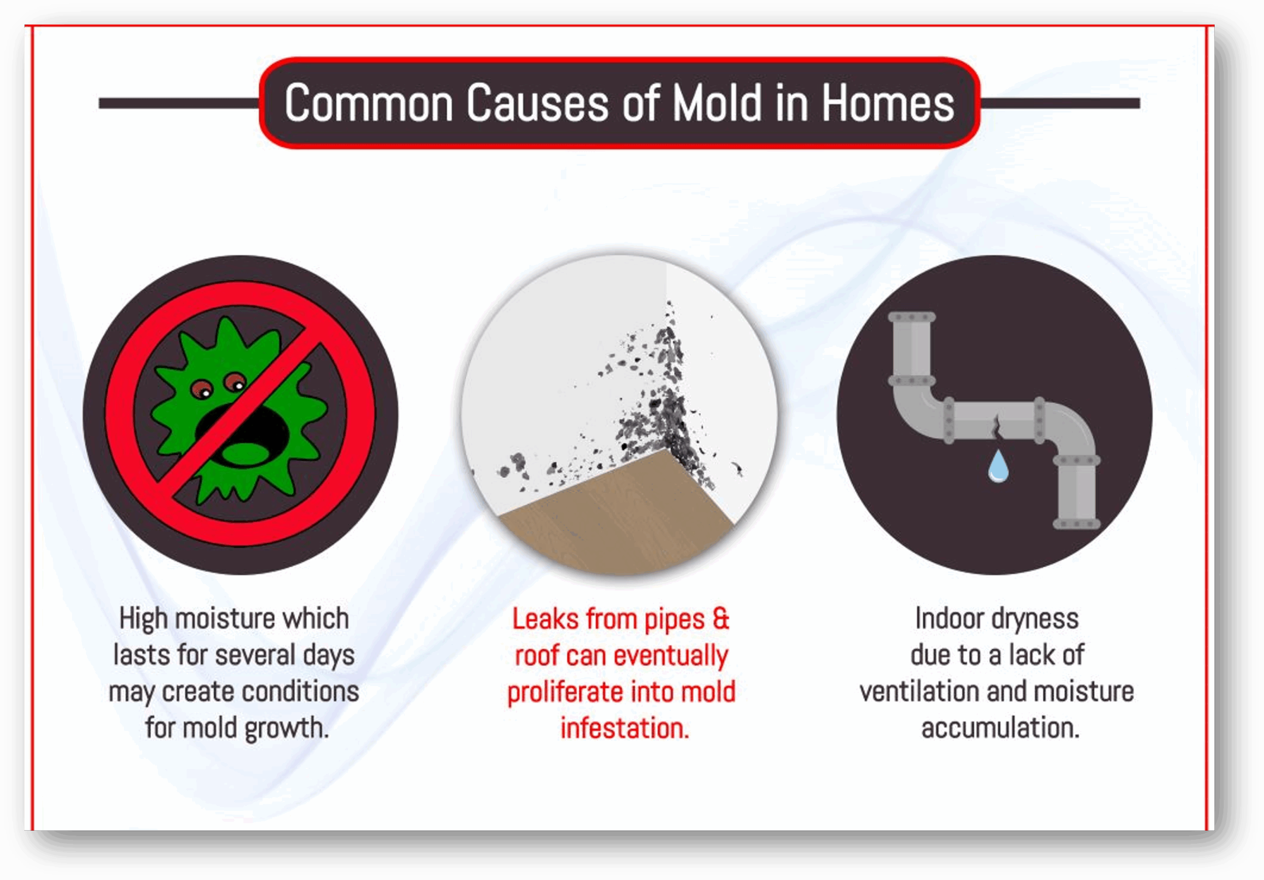 Whole-House Mold Prevention & Monitoring Strategy